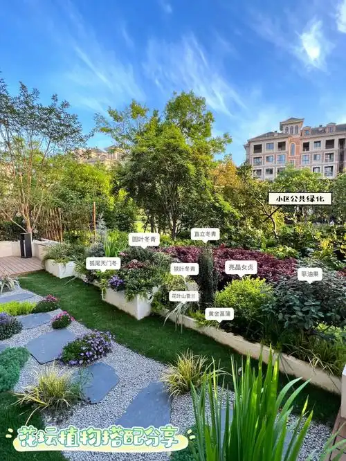 我家住一楼花坛区域打造植物搭配分享