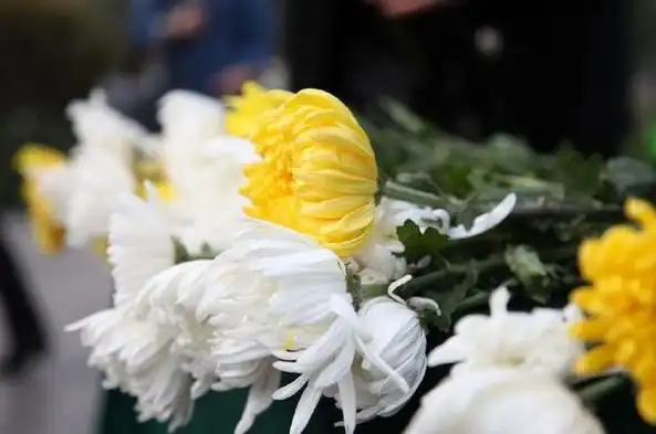 祭奠过世的亲人,少烧香,烧纸钱,做好以下两件事就够了