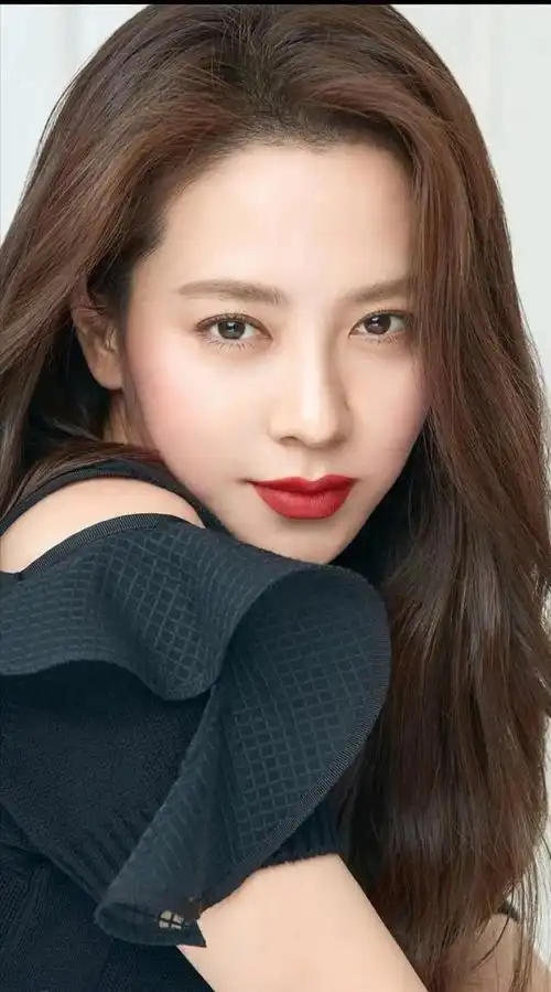 韩国最漂亮的女明星(韩国十大美女明星)(38)