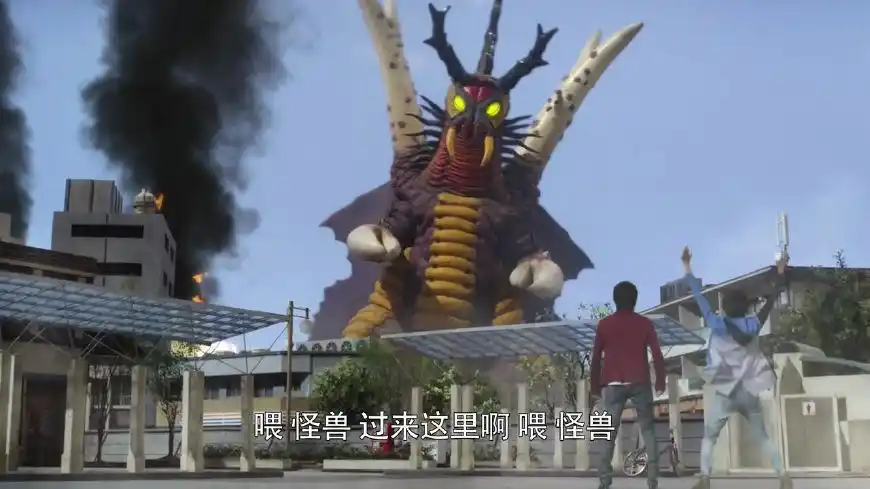 大蚁超兽阿里蓬塔古厄巴萨其实比较惨,一出来刚好遇到了新的罗布水晶