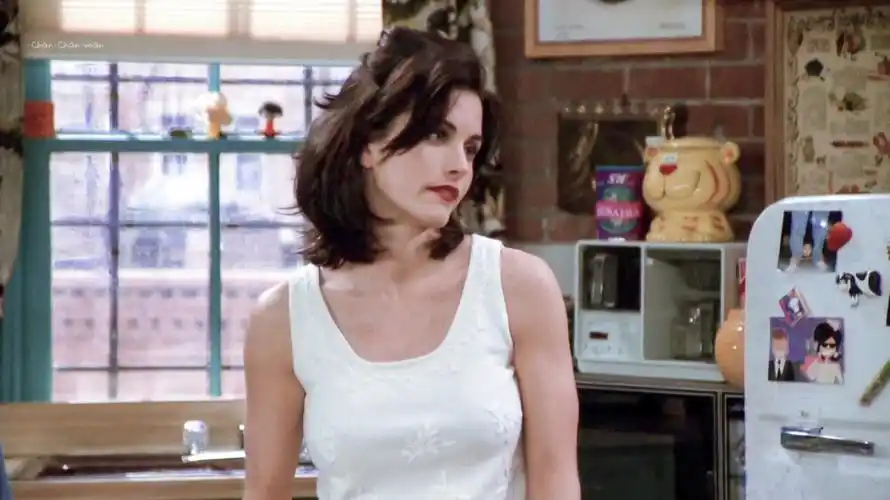 friends老友记莫妮卡