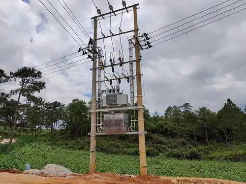 新架设的变压器.
