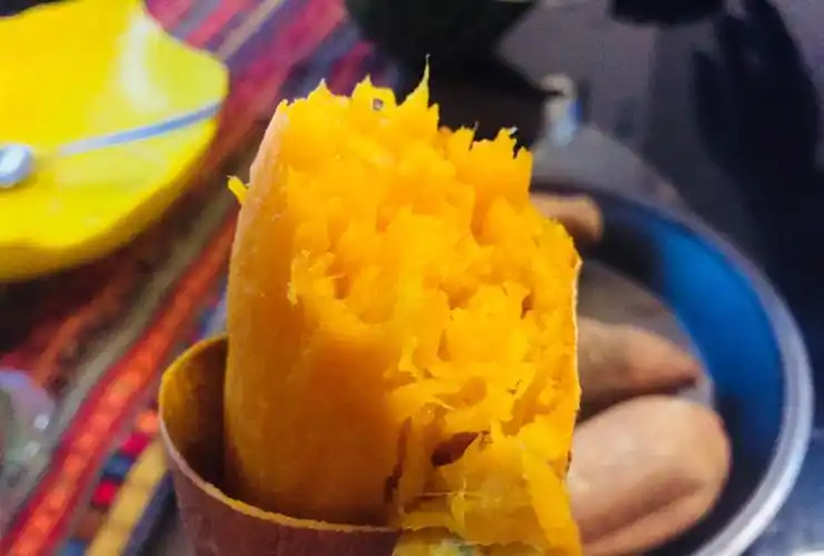 小厨娘美食记:只需注意两点,家里也能吃到香甜软糯的烤红薯