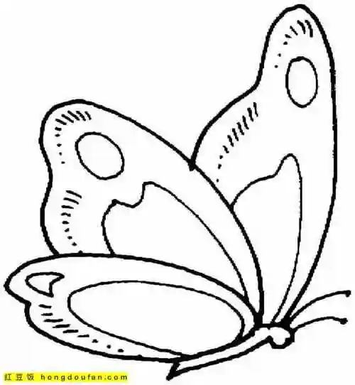 8张可以直接免费下载的蝴蝶卡通涂色图纸-红豆饭小学生简笔画大全
