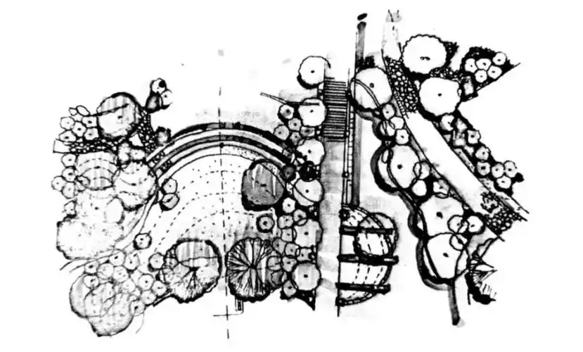 景观快题植物超强攻略赶紧收着吧
