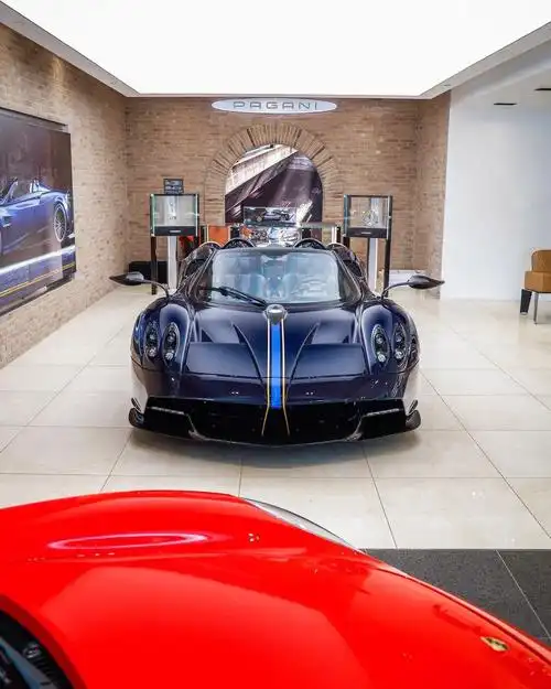 分享图片   多伦多,帕加尼huayra roadster