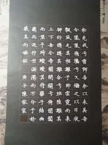 陈依宸同学硬笔书法作品《离骚》节选