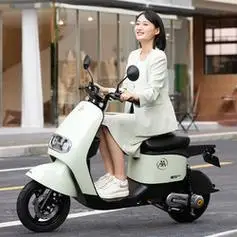 aima爱玛锂享x24新国标48v24ah可提锂电时尚豪华长续航电动自行车电瓶