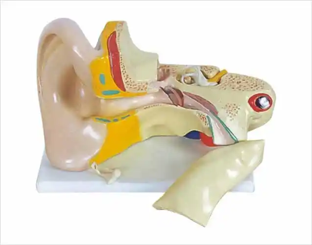 qinghuascienceeducationequipmentcoltd