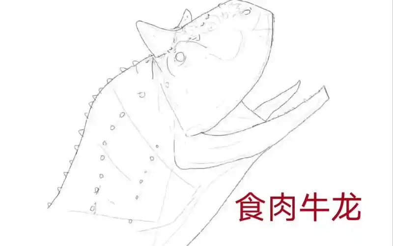 食肉牛龙绘画过程