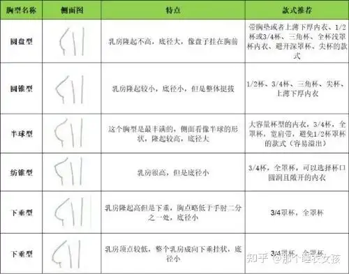 半球型,纺锤形,下垂行几种,我们在选购内衣时,可以根据自己的胸型选择