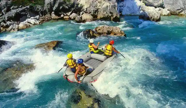 知泓网(中华百科少年行)