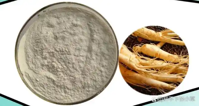 3,人参果总皂苷的制作方法:取人参根,切成厚片,加水煎煮两次,第一次 2