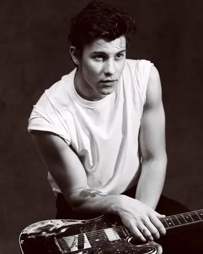 shawn mendes