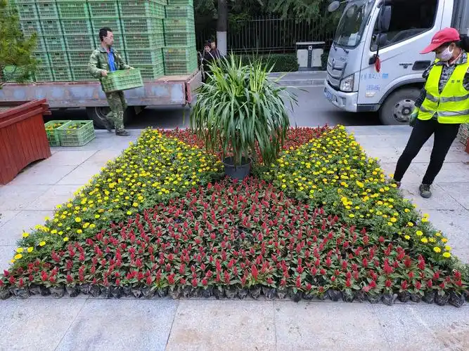 广场摆放好的草花造型