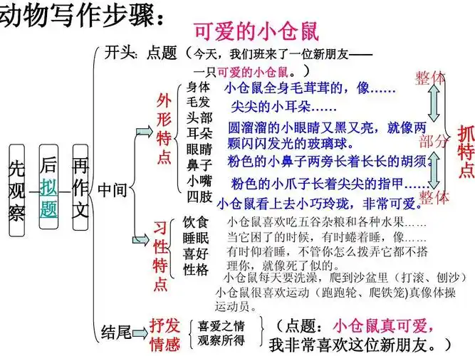《可爱的小仓鼠》作文课件ppt