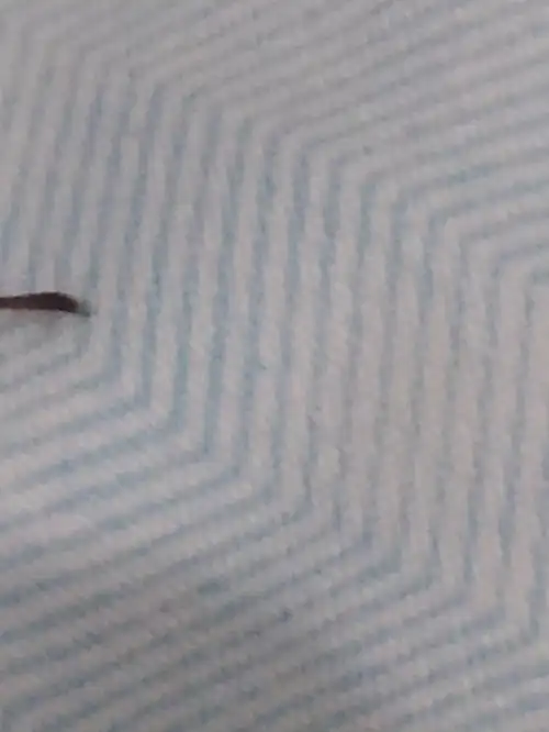 救命这是啥虫子