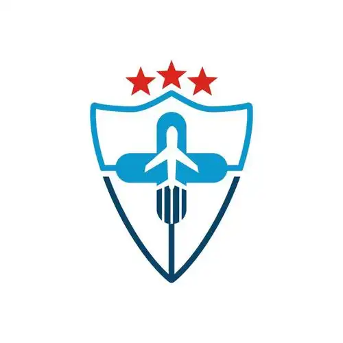 矢量安全飞行度假的创意标志设计