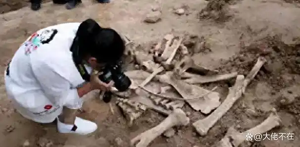 2020年女大学生徒步可可西里,被发现时赤身裸体,疑遭野兽啃食