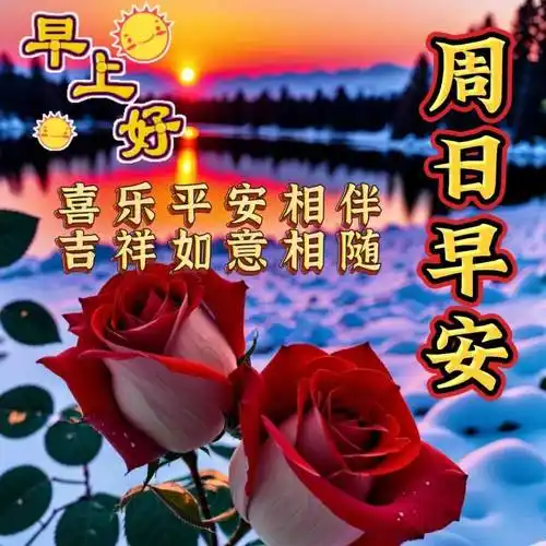 周日早上好,最新版漂亮周末早安祝福语表情图片大全问候语段句子_生活