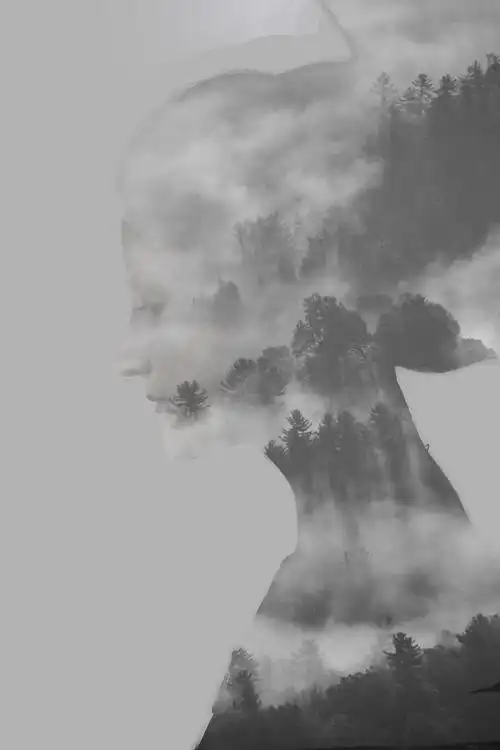 图像双重曝光效果