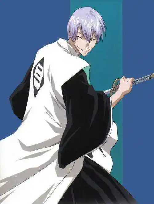 另外是市丸银,蓝染的计划到最后被揭穿时我们发现, 这个计划还需要一