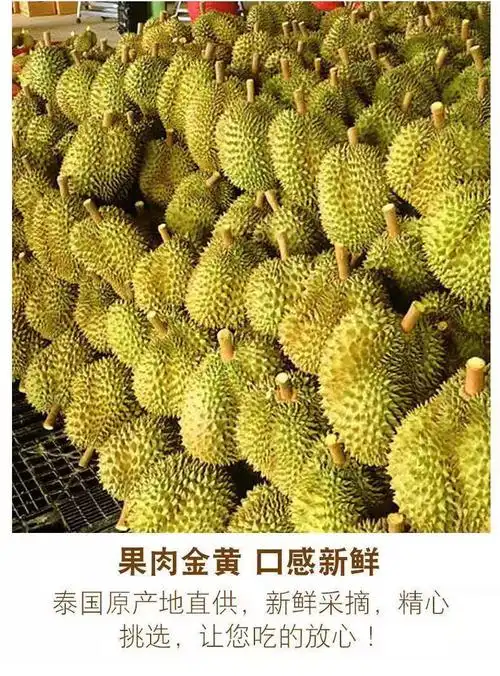 泰国进口树熟金枕头榴莲新鲜带壳正宗榴莲整个当季新鲜水果 到货检查