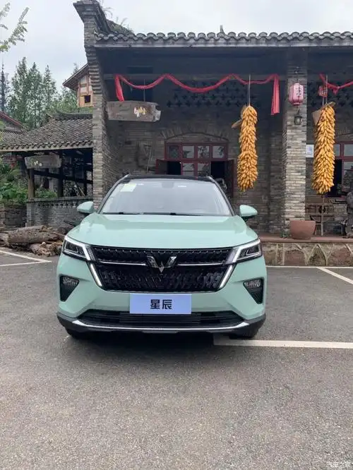 五菱星辰银标suv