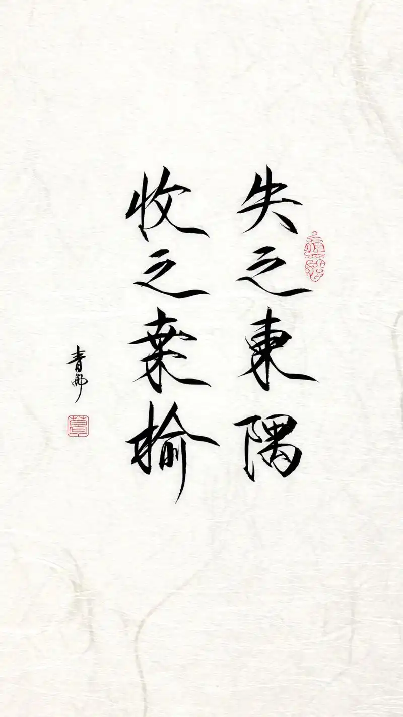 瘦金体书法手写 失之东隅收之桑榆 #瘦金瘦金体书法 #瘦金  - 抖音