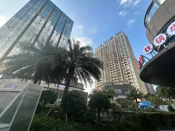 深圳龙岗平湖华南城铁东物流区华南城公寓复式两房商住两用送车位近