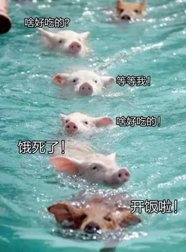 想想今天跟他吵啥好表情包 - 想想今天跟他吵啥好微信表情包 - 想想