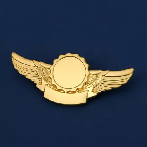 徽章定做胸章勋章胸针定制作校徽班徽司徽logo纪念币奖牌订做 翅膀