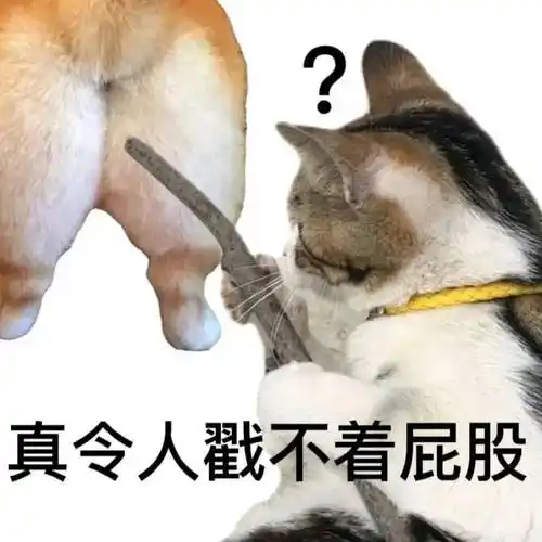 真令人戳不着屁股丨第563期喵表情包