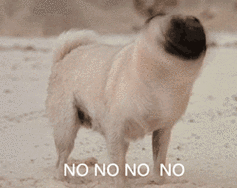 no  不 - 一波狗子的动图表情包