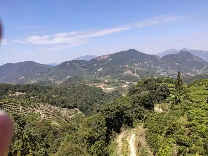 2020叫水坑原始森林游玩攻略,山泉水非常凉爽,一级棒.往.