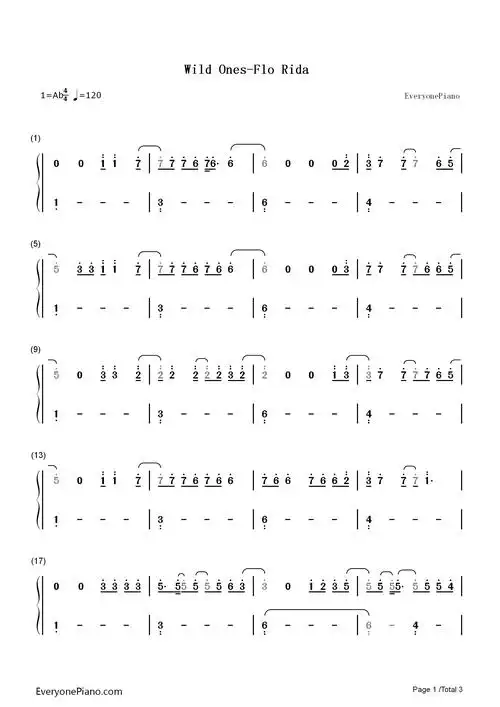 wild ones-flo rida双手简谱预览1