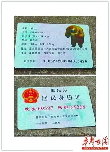 女子手持熊出没身份证附身高星座等信息图