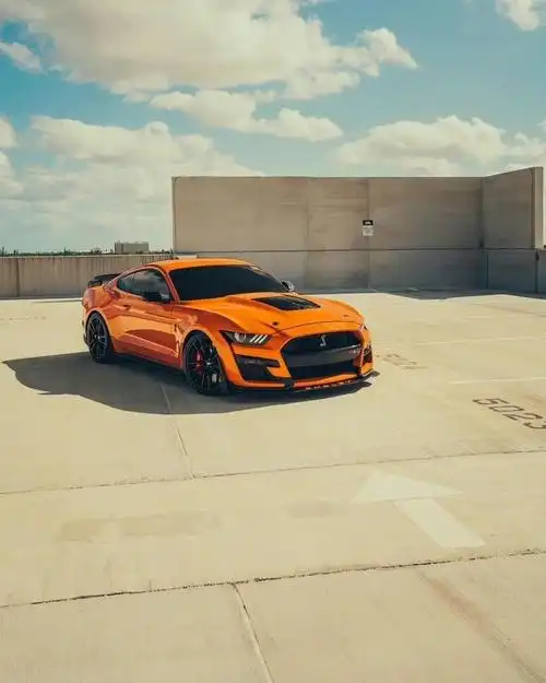 福特野马谢尔比gt500