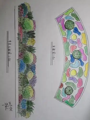 手绘,花境师必备新技能 ;大师,领你进入手绘新天地