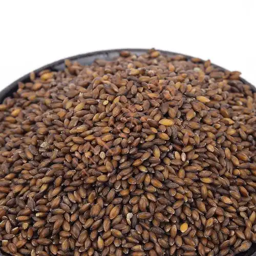 台湾合美健金丝雀粟仁(去壳加那利子)500克繁殖催情