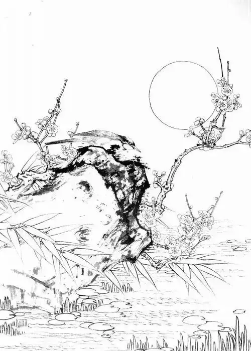 梅花小鸟白描画稿分享