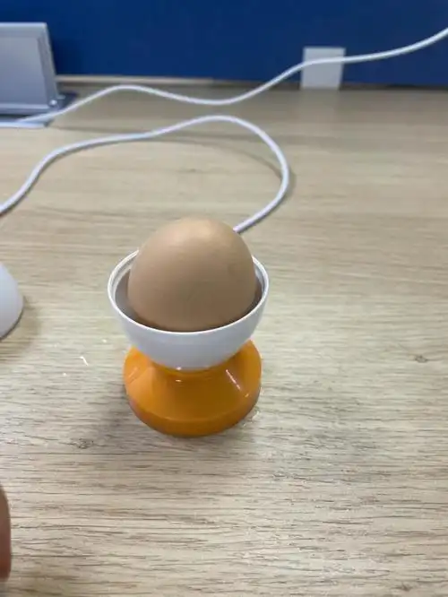 煮蛋器一次只煮一颗