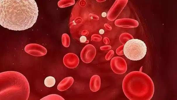 规范化的临床实践指导,由中华医学会血液学分会白血病淋巴瘤学组牵头