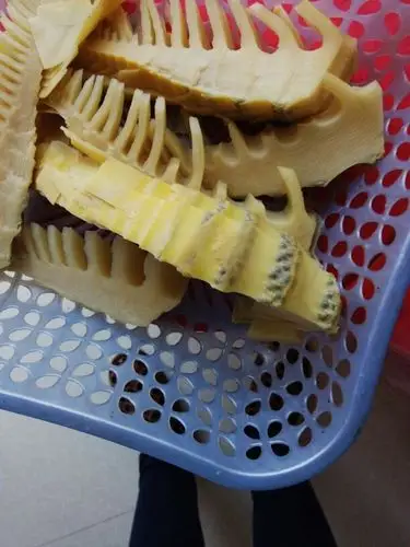 这冬笋是不是发霉了