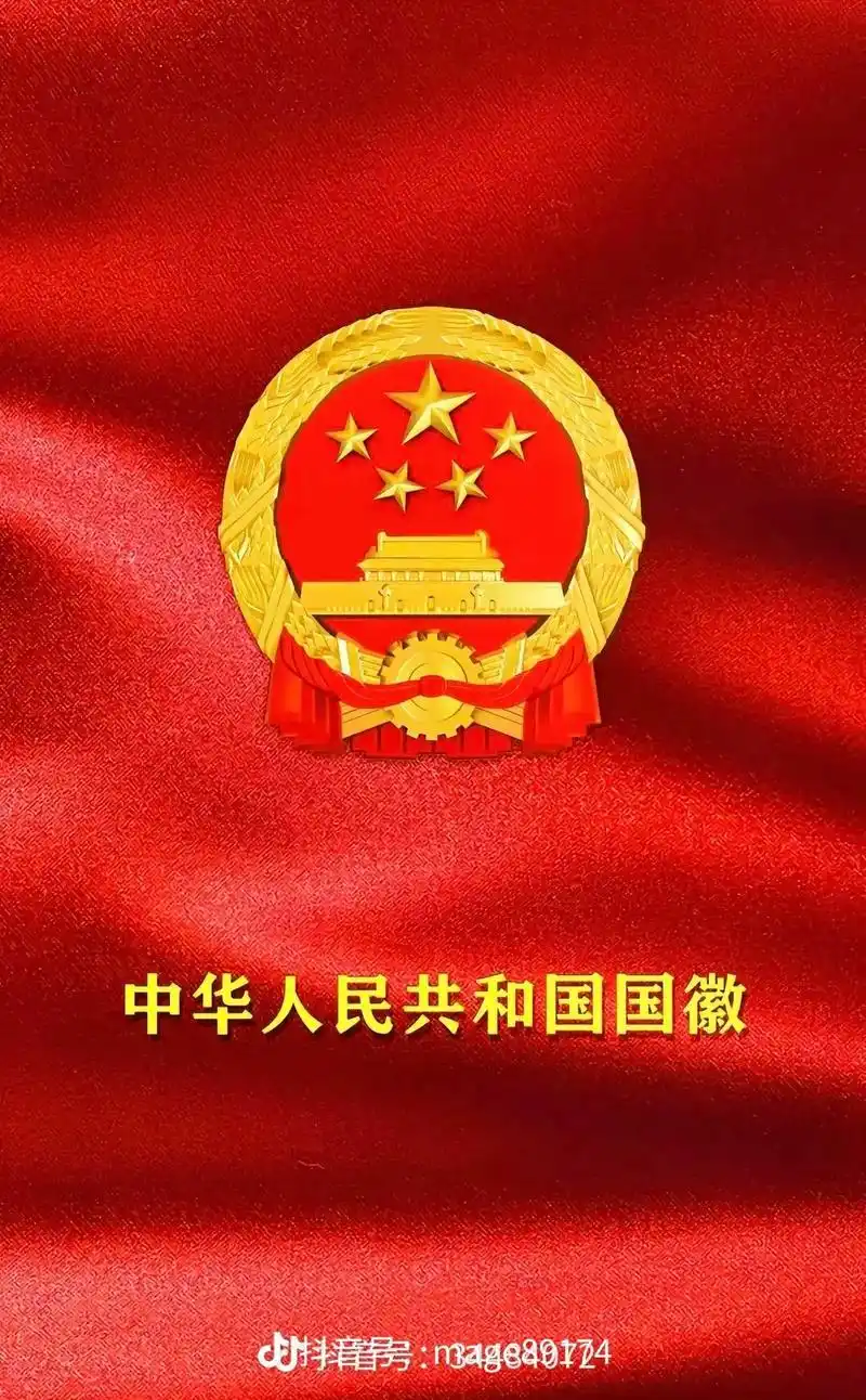 民头上是国徽打掉黑恶势力保护伞反腐打黑动中国感动中国创作的拍同款