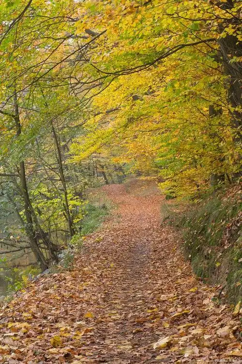 走过秋天的小路,听着秋天的声音,让旅游带给你温馨和感动
