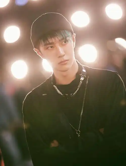 王一博个人简历资料(王一博和赵丽颖恋情是真的吗)