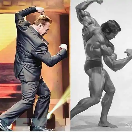 健美|阿诺德|力量训练_网易订阅