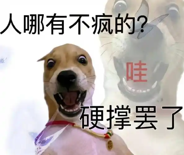 我的一天 如『搞笑实用表情包』所示_(:з)∠)__cr_网络_生活