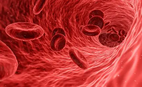 血小板聚集功能adp途径检测试剂盒临床验证案例